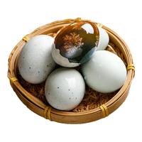 神丹 皮蛋咸鸭蛋套装