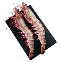 粤海湾 巨型黑虎虾超大特大号 老虎虾大虾生鲜虾类海鲜礼盒年货 超大8只 长22-25cm 三仓发货 空运/深圳|青岛|武汉发货