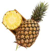 京鲜生 Mr.Seafood 海南金钻凤梨 中果 2个 单果约950g