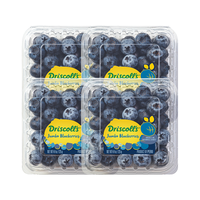 怡颗莓 Driscoll's 蓝莓 超大果 125g*4盒