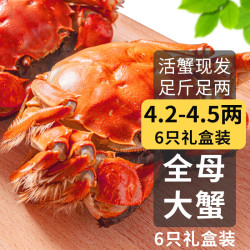 乾澄 大闸蟹 精选全母蟹4.2-4.5两 6只装 特大鲜活螃蟹海鲜礼盒源头直发