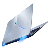 MACHENIKE 机械师 F117 V26P 11代酷睿版 15.6英寸 游戏本 银色 (酷睿i7-10750H、RTX 2060 6G、8GB、512GB SSD、1080P、IPS、144Hz)