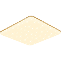 雷士 NVC LightingLED传统吸顶灯现代风格卧室书房餐厅灯饰 金边满天星调光灯具 【三色调光】满天星 方灯36W