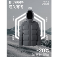 网易严选 -20℃抗寒 90鲜绒商务羽绒服外套