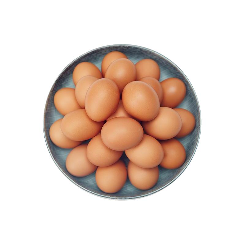 赤玉Lutein叶黄素可生食鲜鸡蛋新鲜DHA无菌蛋即食无抗无菌溏心蛋