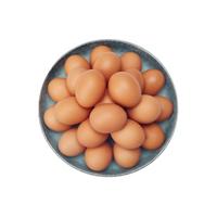 赤玉Lutein叶黄素可生食鲜鸡蛋新鲜DHA无菌蛋即食无抗无菌溏心蛋