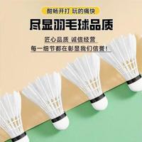 Wellhouse 耐打羽毛球稳定飞行比赛娱乐训练初学者精准专用球