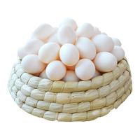 均鲜新鲜鸽子蛋杂粮喂养农家特产白鸽蛋信鸽蛋宝宝儿童土鸽子蛋 10枚鲜鸽蛋（装）