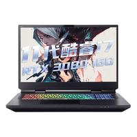 Hasee 神舟 战神 GX10-CA7KT 17.3英寸 游戏本 黑色(酷睿i7-11700K、RTX 3080 16G、16GB、1TB SSD、1080P、IPS、144Hz)