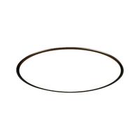 ARROW 箭牌锁具 箭牌照明 箭牌锁具 照明 极简超薄led吸顶灯