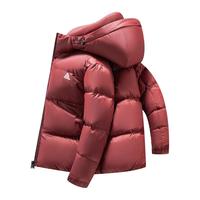 雪中飞2025冬羽绒服男士户外休闲百搭运动时尚面包服保暖 安可拉红|1768 L 175/92A