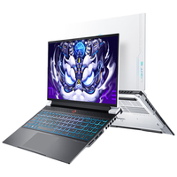 MACHENIKE 机械师 曙光16Pro 十三代酷睿版 16英寸 游戏本 曙光白(酷睿i7-13650HX、RTX 4070 8G、16GB、1TB SSD、2.5K、240Hz)