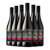 Santa Rita 圣丽塔 国家画廊智利中央山谷干型红葡萄酒 6瓶*750ml套装