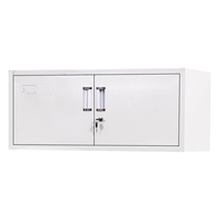 ZHONGWEI 中伟 文件柜办公柜矮柜钢制铁皮柜办公室资料柜档案柜储物柜分五节单节0.8厚板