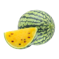 寿禾shouhe黄瓤西瓜种子黄心型黄瓤寿光瓜春冬季家庭菜园瓜籽 小凤西瓜种子 30粒（10粒x3包）