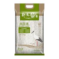 鄱阳湖 鄱湖丝苗米