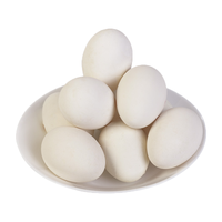 品鲜夫人新鲜鸽子蛋 农家精选杂粮谷饲喂养鲜鸽蛋佳品送产妇老人 20枚大个种鸽蛋【无礼盒】