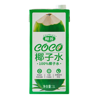 椰谷（YEGU）100%椰子水1L*2盒富含电解质椰子纯椰青果汁无添加饮料 100%椰子水*2盒