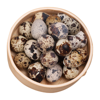 xian wo wo/鲜窝窝 新鲜 鹌鹑蛋 卤蛋料包 25枚 有卤料包 散装 200g