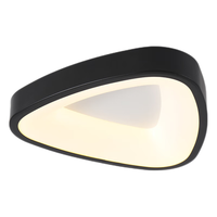 Lighting 雷士 NVC EDCS8370 过道吸顶灯 12W 黑色 异形