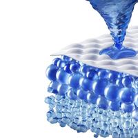 亲宝宝鲸量吸大吸量夜用亲肤尿不湿纸尿裤拉拉裤旅行装4片 纸尿裤S码 2片/包*2