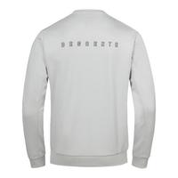 迪桑特（DESCENTE）男士长袖运动休闲经典款卫衣 灰色 L （100）