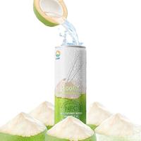 【价】 九日越南100%椰子水果汁320ml