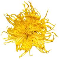 徽春堂 金丝皇菊 20g