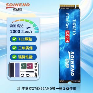 骁麟 SOINEND THZC310 1TB 固态硬盘 PCIe3.0 256G