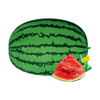 农之子（NONGZHIZI） 西农八号西瓜种子大西瓜特大瓜果蔬菜南方 西农八号西瓜30粒x3袋中熟