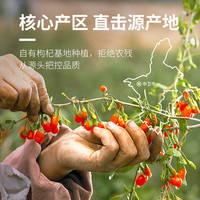 早康宁夏枸杞子特优特级250g大颗粒枸杞干苟杞泡茶男肾商超