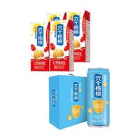 养元 智汇健 核桃乳 240ml*12罐 240