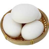 百世富泽（BAISHIFUZE）【百世富泽】黄河滩鹅蛋新鲜土鹅蛋农家自养新鲜鹅蛋 12枚170克以上