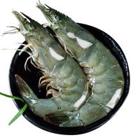 冰鲜部族 青岛大虾虾子鲜活新鲜海鲜3斤 基围虾水产冻虾