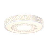 雷士 NVC Lighting照明led吸顶灯卧室灯现代简约创意鸟巢灯具 智能无极调光调色带遥控器圆形24W