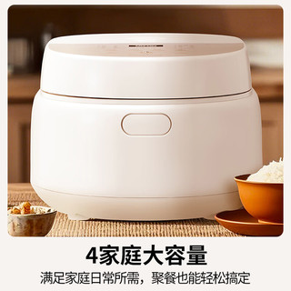  Panasonic/松下 SR-DQ102 智能预约 电饭煲