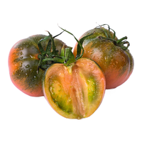 寿禾shouhe草莓番茄种子铁皮柿子春季种籽 潍育系列番茄梦草莓番茄种子20粒 