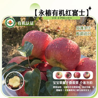红富士 新鲜苹果酸甜可口3斤果径60-70mm 宝宝果｜普装