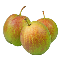 京鲜生 河北酥润香梨 净重3斤 单果150g+