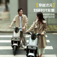 立马全新国标电动自行车阿尔法48v代步电瓶车可上牌电动车