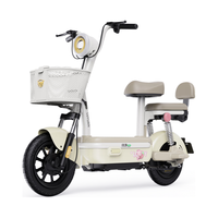 【新国标】绿源卡乐15智能长续航通勤代步电动自行车 门店自提 48V 20Ah