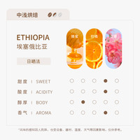 代数学家挂耳精品咖啡10g*10包新鲜现磨咖啡粉手冲阿拉比卡黑咖啡 埃塞俄比亚-耶加雪菲（10g*10包）1盒-中浅烘花果香