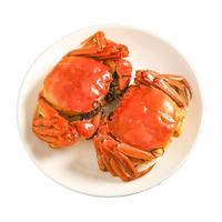 【活蟹】大闸蟹鲜活螃蟹礼盒公4.2-4.5两母2.8-3.1两8只