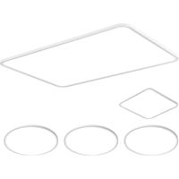  Lighting 雷士 NVC  未来光系列 智能护眼吸顶灯套装 四室一厅