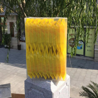 铁木山菊花茶 金丝皇菊 独立包装*20包