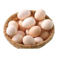 白荡里 农家散养土鸡蛋 20枚