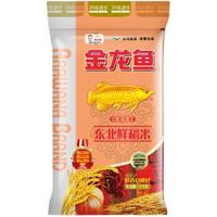  金龙鱼 东北鲜稻米  5kg/袋 袋装 5kg