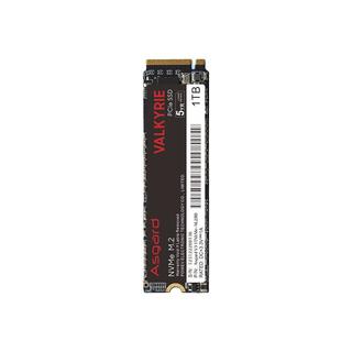 Asgard 阿斯加特 女武神系列 V3 1TB SSD固态硬盘 M.2接口(NVMe协议) PCIe 3.0