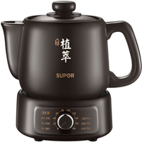 SUPOR/苏泊尔 全自动免看管 中药壶 2L