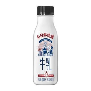 zaozuo